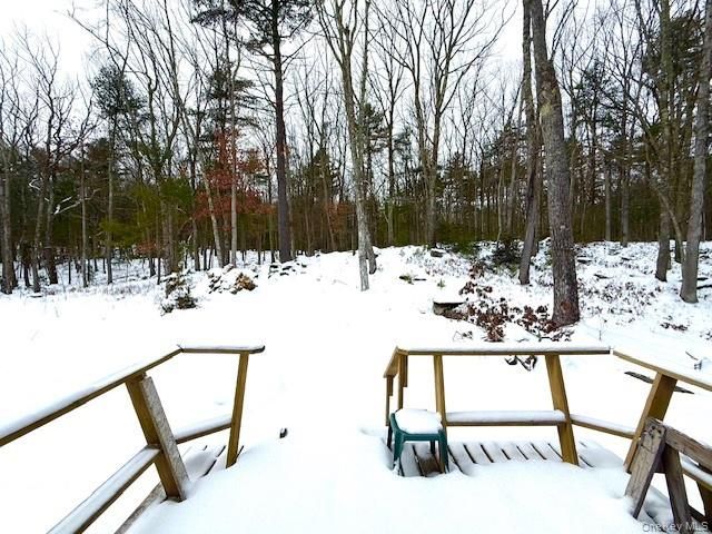 195 W Mohican Trail, Glen Spey, NY 12737