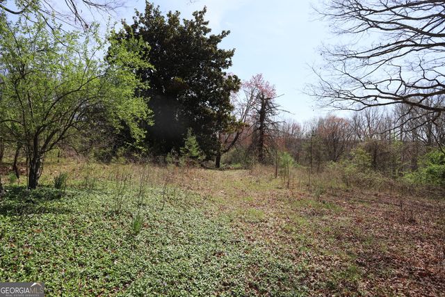33533 Highway 157, Menlo, GA 30731