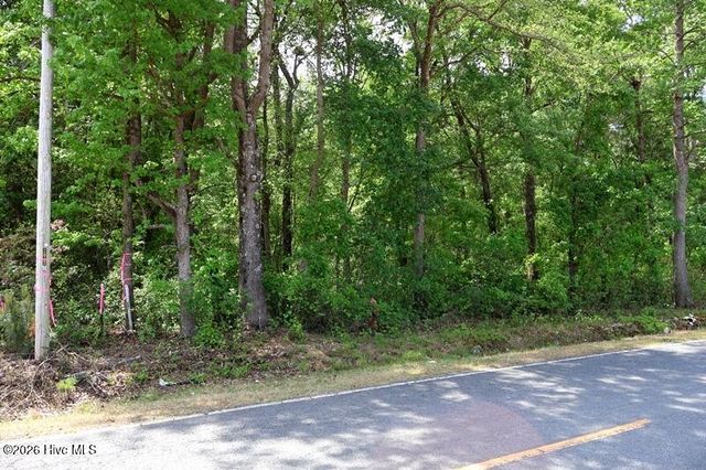 Tbd N Duffie Road, Red Springs, NC 28377