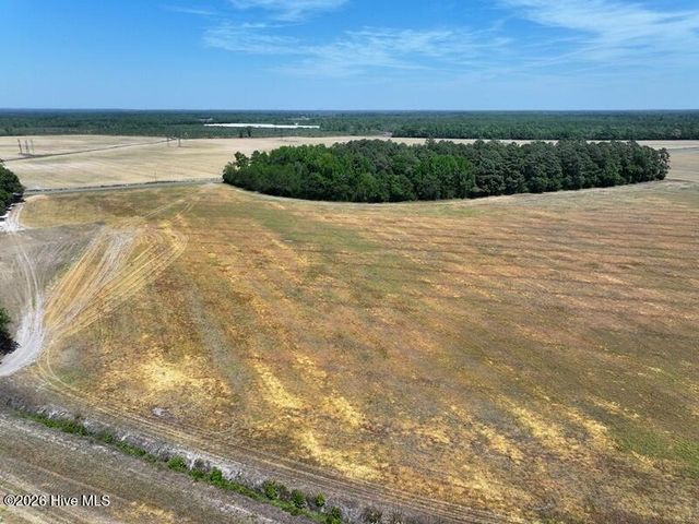 Tbd N Duffie Road, Red Springs, NC 28377