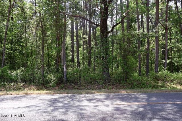 Tbd N Duffie Road, Red Springs, NC 28377