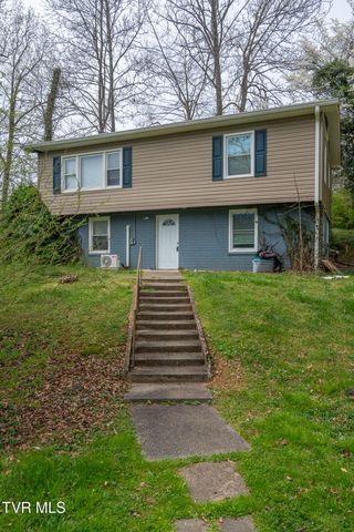 2305&2303 Abbott Drive, Johnson City, TN 37601