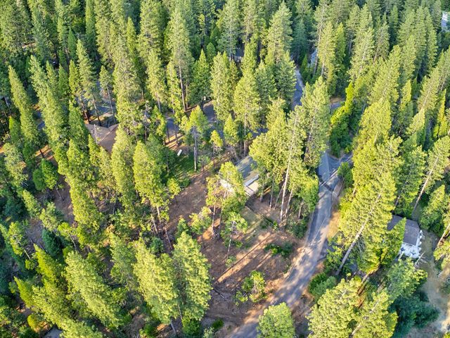 2346 Black Oak Dr, Arnold, CA 95223