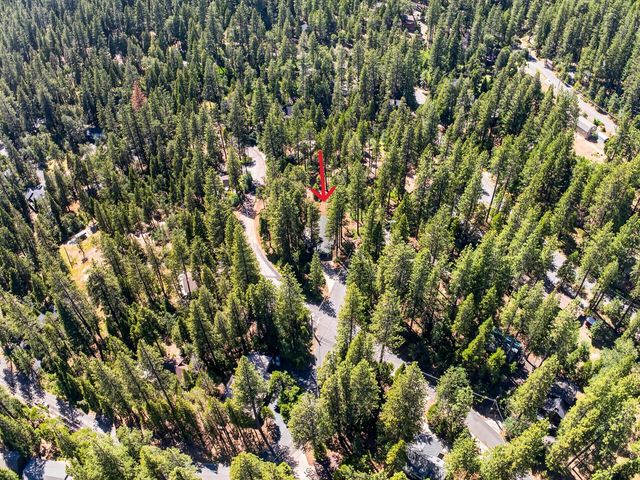 2346 Black Oak Dr, Arnold, CA 95223