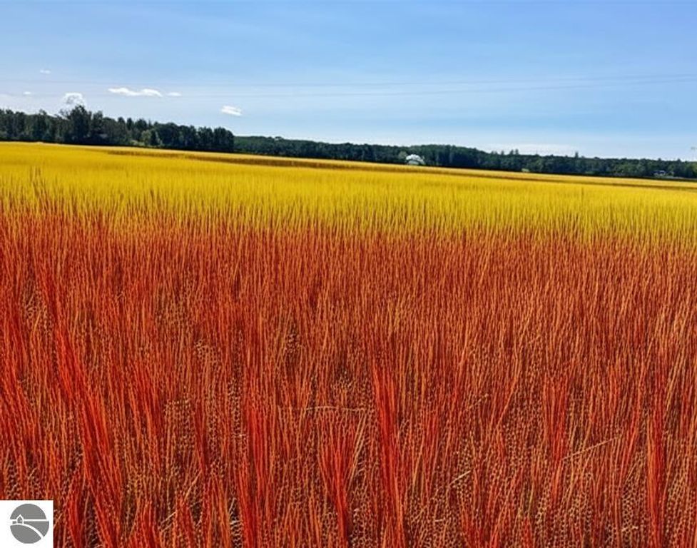 Image 4 of property listing at **** Walton Road, Kingsley, MI 49649