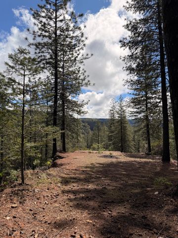 115 Main St, Gold Run, CA 95717