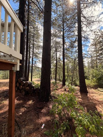 115 Main St, Gold Run, CA 95717