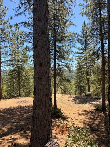 115 Main St, Gold Run, CA 95717