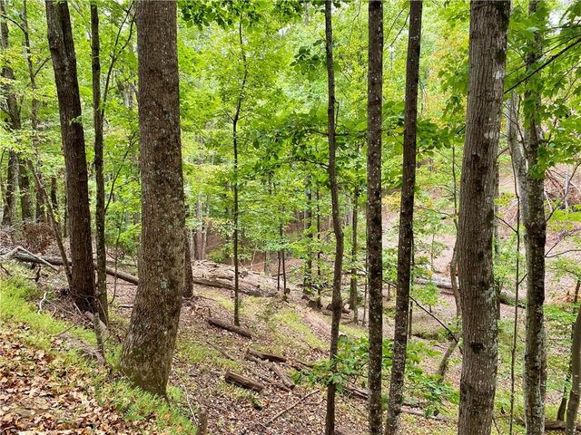 327 Grouse Gap Drive, Jasper, GA 30143