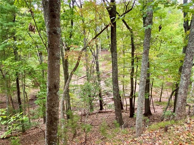 327 Grouse Gap Drive, Jasper, GA 30143