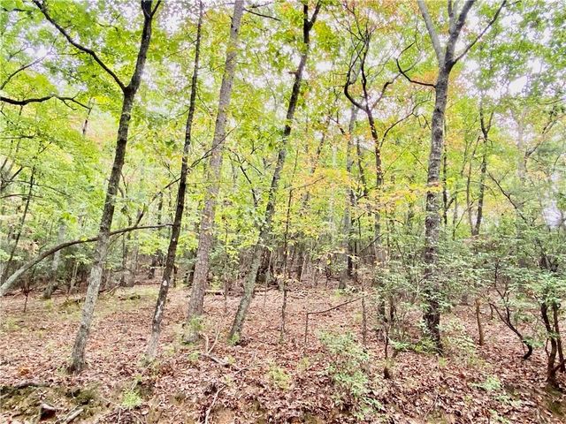 327 Grouse Gap Drive, Jasper, GA 30143