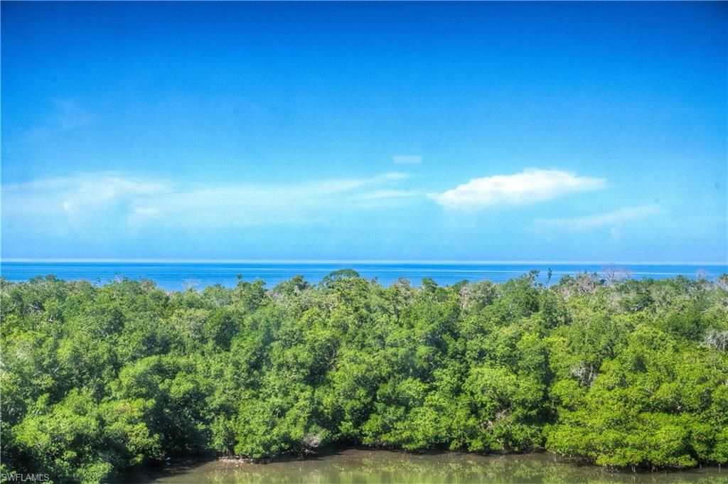 11 Bluebill AVE 404, NAPLES, FL 34108 — photo 5