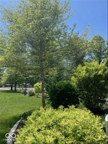 1247 N County Road 900 E, Avon, IN 46123