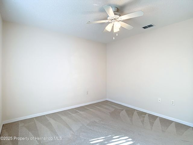 10296 Palmgren Lane, Spring Hill, FL 34608