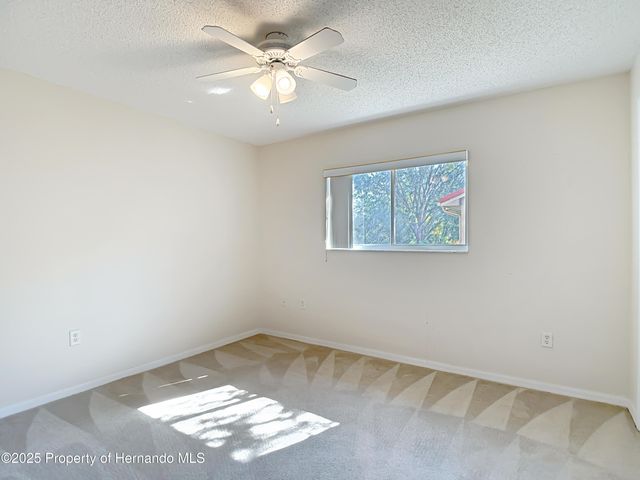 10296 Palmgren Lane, Spring Hill, FL 34608