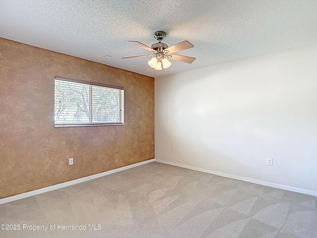10296 Palmgren Lane, Spring Hill, FL 34608