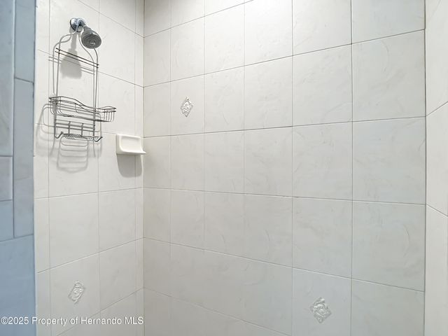 10296 Palmgren Lane, Spring Hill, FL 34608