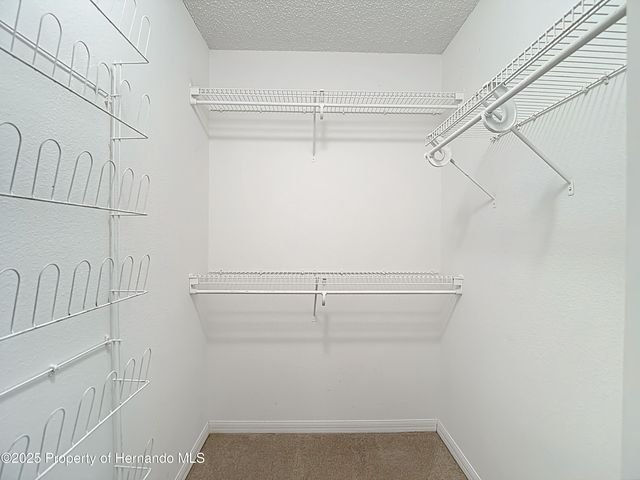 10296 Palmgren Lane, Spring Hill, FL 34608