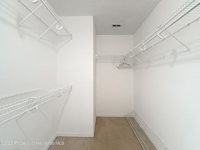 10296 Palmgren Lane, Spring Hill, FL 34608