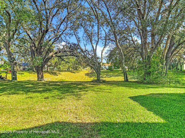 10296 Palmgren Lane, Spring Hill, FL 34608