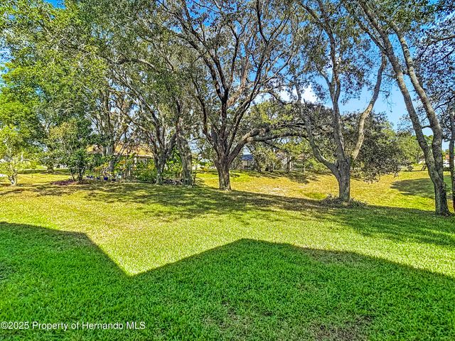 10296 Palmgren Lane, Spring Hill, FL 34608