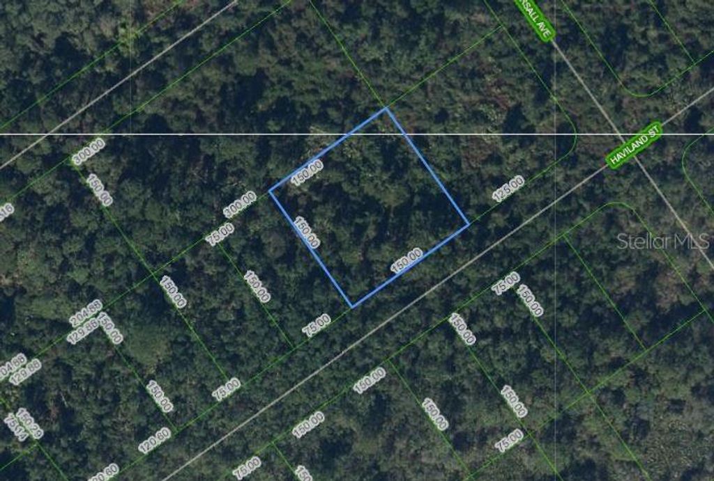 1210 HAVILAND STREET, Lake Placid, FL 33852