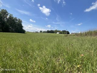 1002 Gum Springs Mountain Rd, Walling, TN 38587