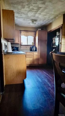 3309 RABIDUE Road, Clyde Township, MI 48049