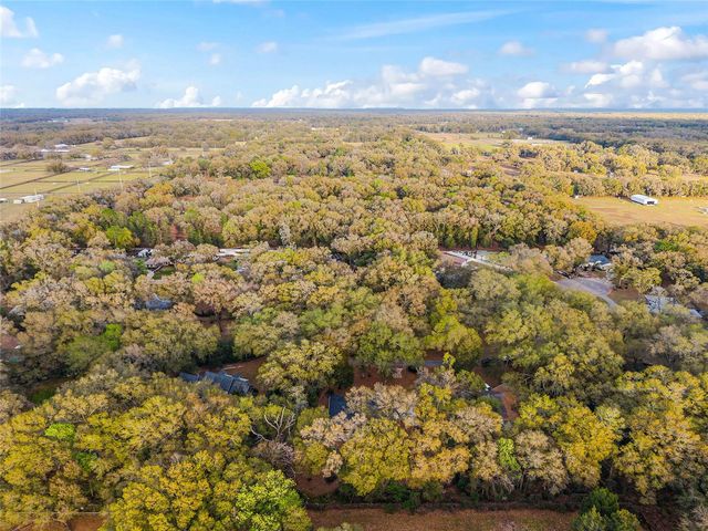 14650 SE 1ST AVENUE ROAD, Summerfield, FL 34491