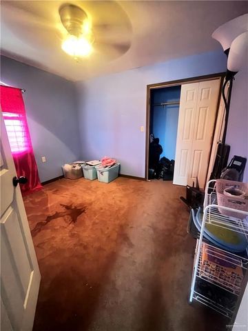 422 Dove Street, Sullivan City, TX 78595