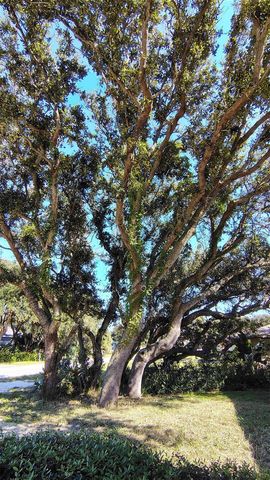 4790 MICHAEL LANE, Ponce Inlet, FL 32127