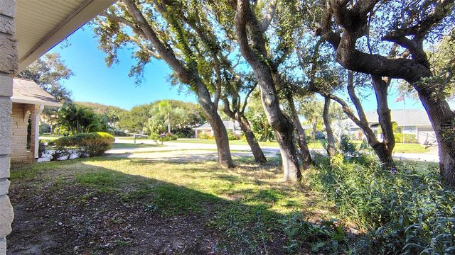 4790 MICHAEL LANE, Ponce Inlet, FL 32127