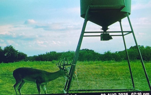 14725 Highway 183 N, May, TX 76857