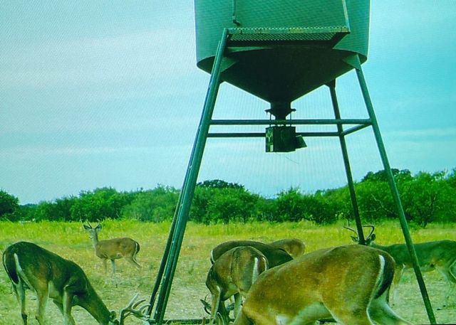 14725 Highway 183 N, May, TX 76857