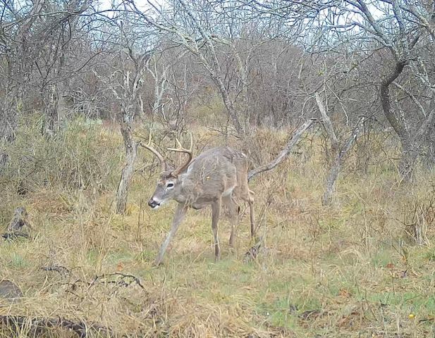 14725 Highway 183 N, May, TX 76857