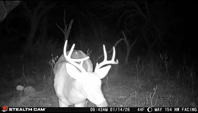 14725 Highway 183 N, May, TX 76857