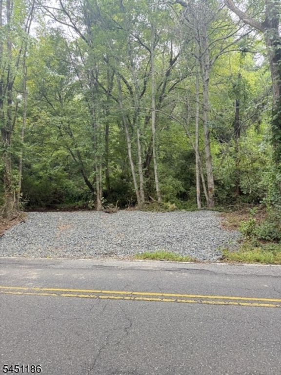 566 River Rd, Chatham Twp., NJ 07928 — photo 4