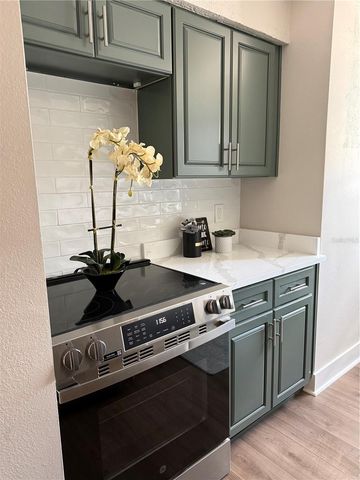 6919 PLACE DE LA PAIX 6919, St Petersburg, FL 33707