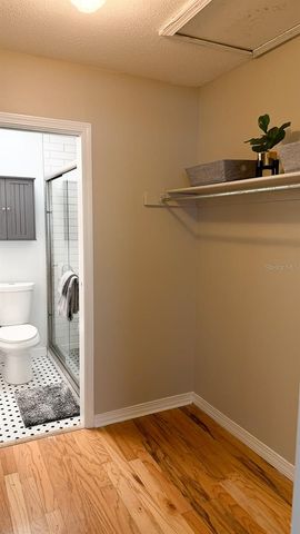 6919 PLACE DE LA PAIX 6919, St Petersburg, FL 33707