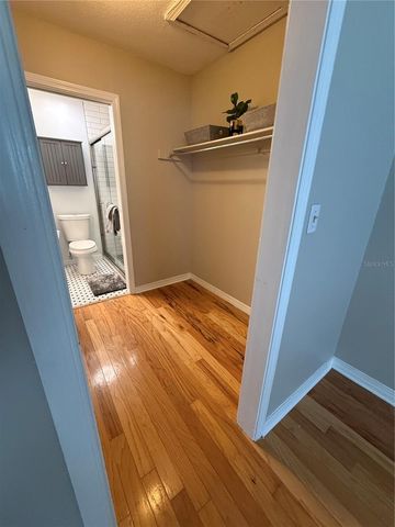 6919 PLACE DE LA PAIX 6919, St Petersburg, FL 33707