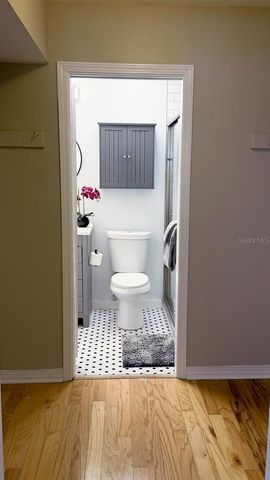 6919 PLACE DE LA PAIX 6919, St Petersburg, FL 33707