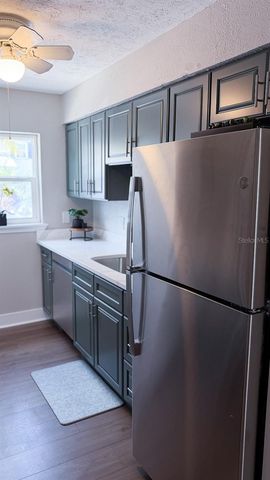 6919 PLACE DE LA PAIX 6919, St Petersburg, FL 33707