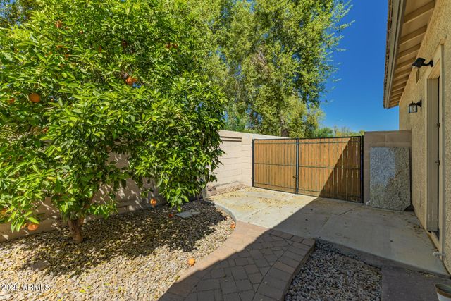 3293 E CANYON Way, Chandler, AZ 85249