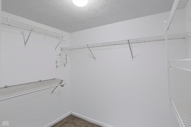 1617 Maplewood Lane, Pendleton, IN 46064