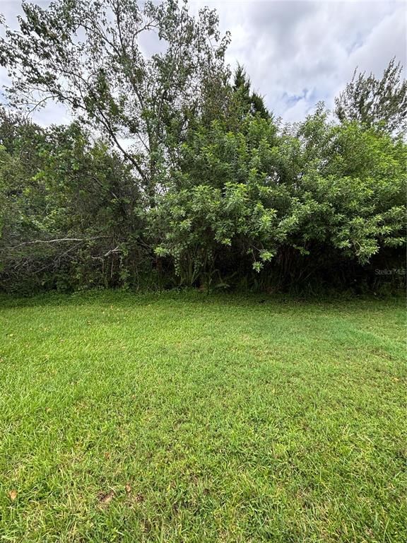 Image 23 of property listing at 1135 MADEIRA KEY WAY, Orlando, FL 32824