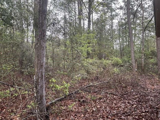 384 Sandy Lane, Ivanhoe, TX 75979