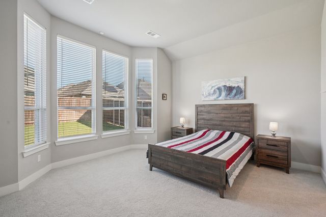 1901 Braided Mane Avenue, Aubrey, TX 76227