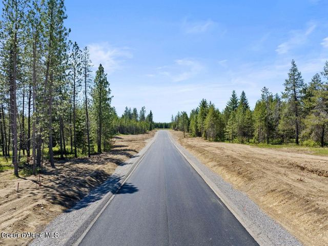 4 Ellington Ct, Athol, ID 83801