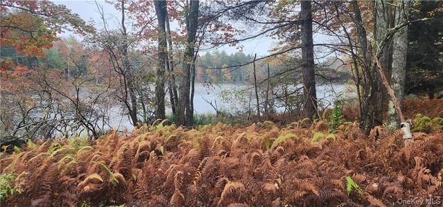 Mongaup Road, Monticello, NY 12701