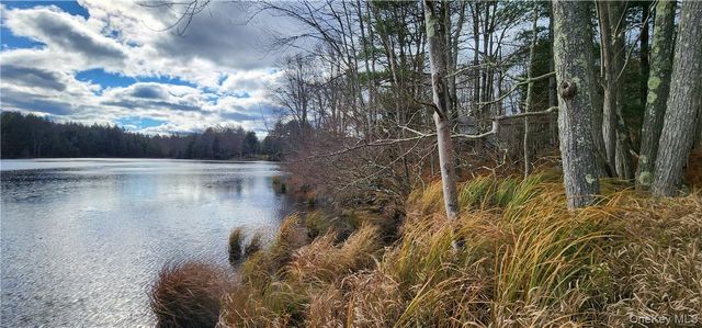 Mongaup Road, Monticello, NY 12701